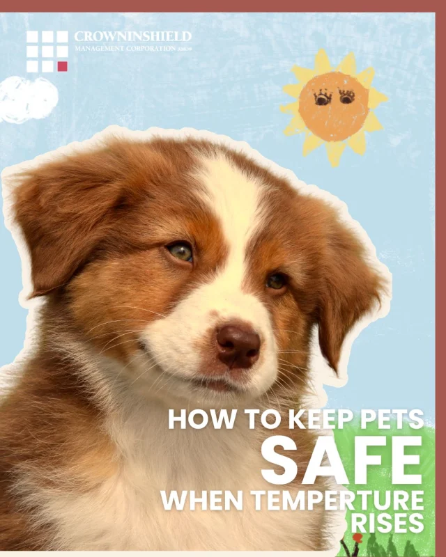 How to Keep Pets Safe When Temperature Rises 🔥 

Please keep your furry friends safe from the dangers of high temperatures. Here are some tips from the Red Cross:

💡 Don’t leave your pet in a hot vehicle, even for a few minutes. The car's interior temperature can quickly reach 120 degrees even with the windows cracked open.
💡 Keep all unscreened windows or doors closed so pets don’t fall out.
💡 Trim longer hair, but never shave your dog.
💡 Brush cats more often than usual to help prevent problems caused by excessive heat.
💡 Do not leave pets unsupervised around a pool. Don’t let your pets drink from the pool, ocean or lake.
💡 Avoid hot surfaces, such as asphalt, that can burn your pet’s paws.
💡 Don’t walk, run or hike with a dog during the hottest parts of the day or on particularly warm days.

#petsafety #heatwave🔥