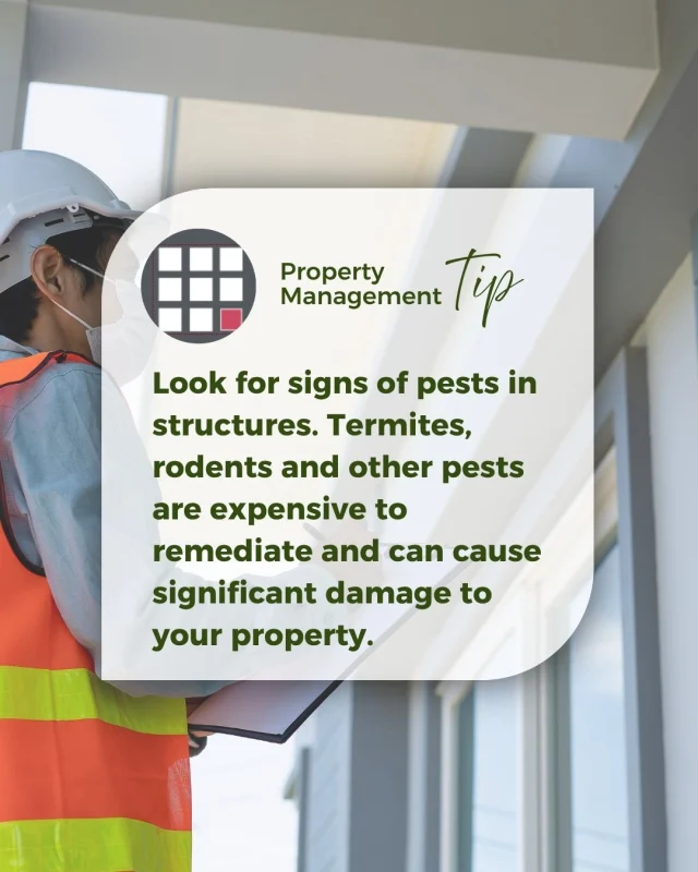💡Property Management Tip: Look for signs of pests in structures. Termites, rodents and other pests are expensive to remediate and can cause significant damage to your property. Getting to a pest problem early prevents further damage and helps save on  costs down the line.

#crowninshield #propertymanagement #summermaintenance #propertymanagertips #pestcontrol
